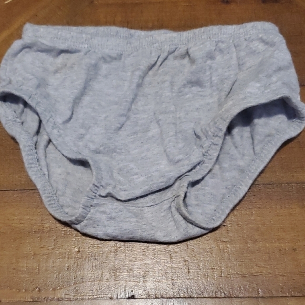 🐻 Carter's Gray Diaper Cover